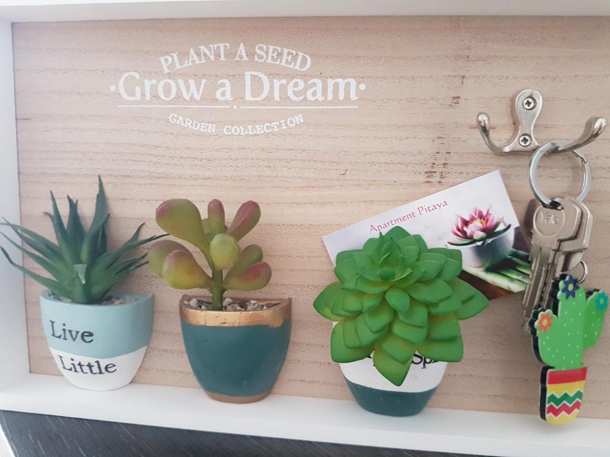 Apartment Pitaya 플라야 델 잉글스 외부 사진